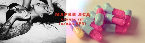 PSILOCYBIN Горно-Алтайск