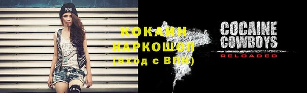 трава Гусиноозёрск