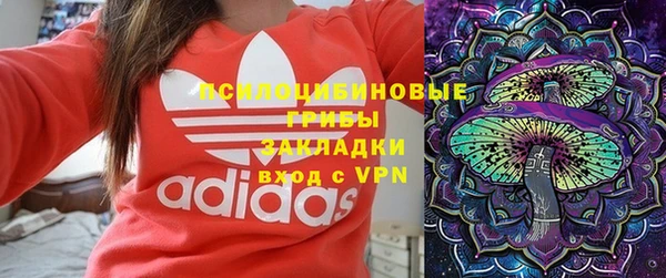сатива Гусь-Хрустальный