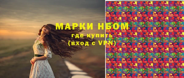 стаф Гусев