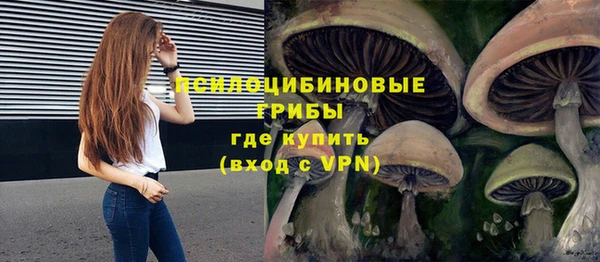 трава Гусиноозёрск
