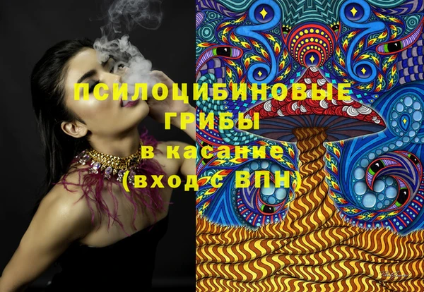 стаф Гусев