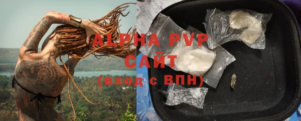 PSILOCYBIN Горно-Алтайск