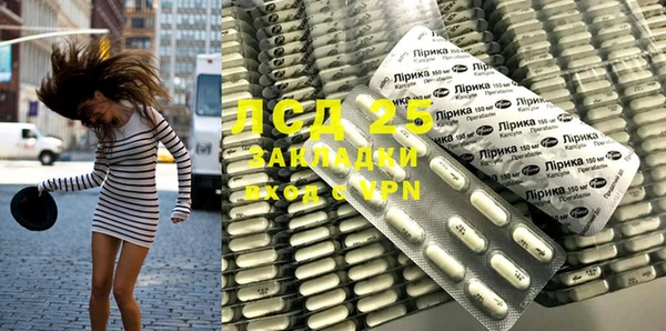 спиды Горняк