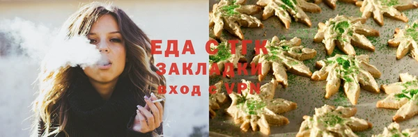 спиды Горняк