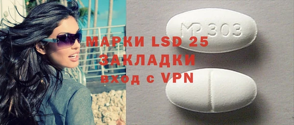 спиды Горняк