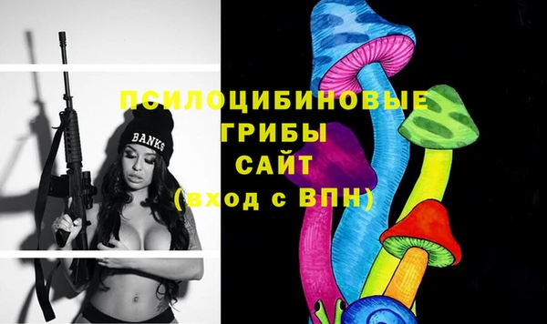сатива Гусь-Хрустальный