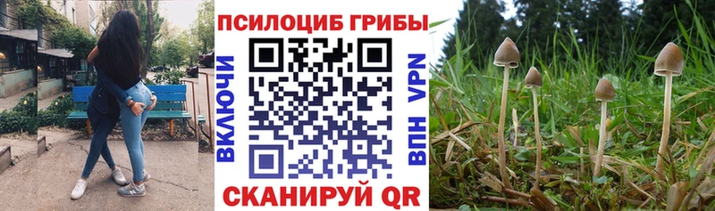 Галлюциногенные грибы Magic Shrooms  Купить  Туринск 